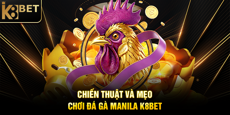 Chiến Thuật và Mẹo Chơi Đá Gà Manila K8BET