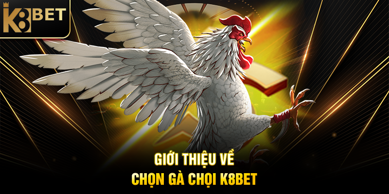 Chọn Gà Chọi K8BET: Bí Quyết Soi Kèo Chuẩn Xác Để Thắng Lớn Giới Thiệu Về Chọn Gà Chọi K8BET