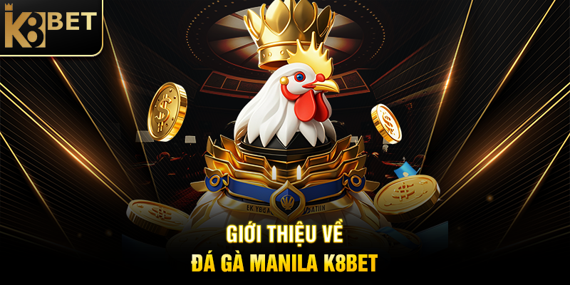 Đá Gà Manila K8BET: Trải Nghiệm Cá Cược Đỉnh Cao Đầy Kịch Tính Giới Thiệu Về Đá Gà Manila K8BET