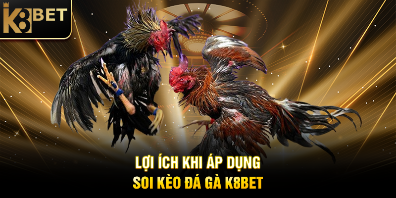 Soi Kèo Đá Gà K8BET: Bí Quyết Tăng Cơ Hội Thắng Trong Cá Cược Lợi Ích Khi Áp Dụng Soi Kèo Đá Gà K8BET