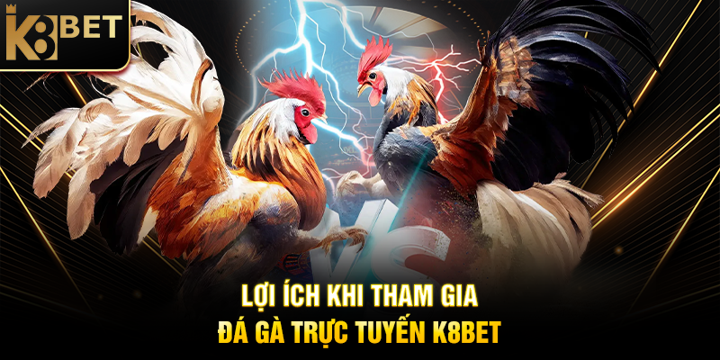 Đá Gà Trực Tuyến K8BET: Trải Nghiệm Cá Cược Đậm Chất Việt Nam Lợi Ích Khi Tham Gia Đá Gà Trực Tuyến K8BET