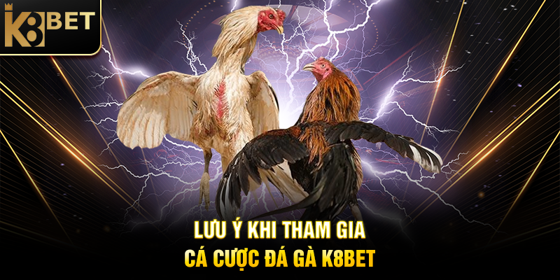 Cá Cược Đá Gà K8BET: Trải Nghiệm Giải Trí Đậm Chất Việt Nam Lưu Ý Khi Tham Gia Cá Cược Đá Gà K8BET