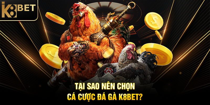 Cá Cược Đá Gà K8BET: Trải Nghiệm Giải Trí Đậm Chất Việt Nam Tại Sao Nên Chọn Cá Cược Đá Gà K8BET?