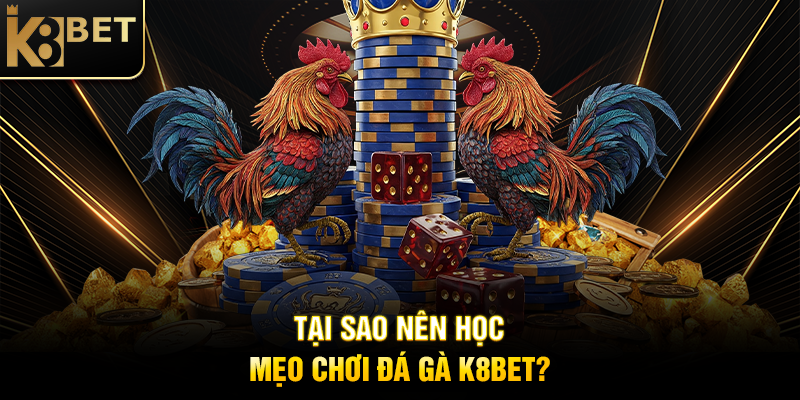 Tại Sao Nên Học Mẹo Chơi Đá Gà K8BET?