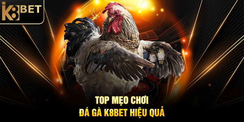 Mẹo Chơi Đá Gà K8BET: Bí Quyết Tăng Cơ Hội Thắng Lớn Top Mẹo Chơi Đá Gà K8BET Hiệu Quả